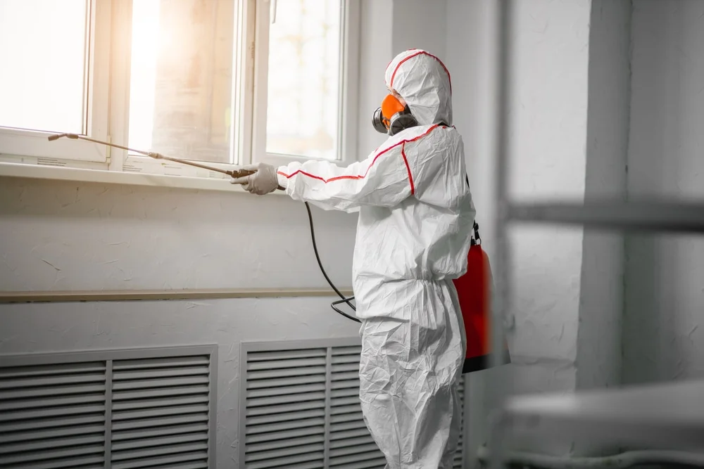 Professional mold remediation services in Milton, WI